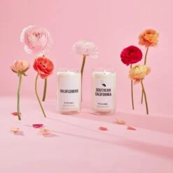 SoCal - Southern California Candle -Homesick Fragrance Sales HMS Spring Labeled 13