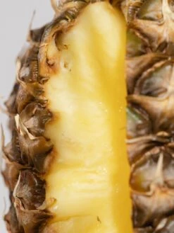 Homesick Fragrance Sales -Homesick Fragrance Sales pineapple resized b5af341f 261d 4b70 8e5f a50414b0912f