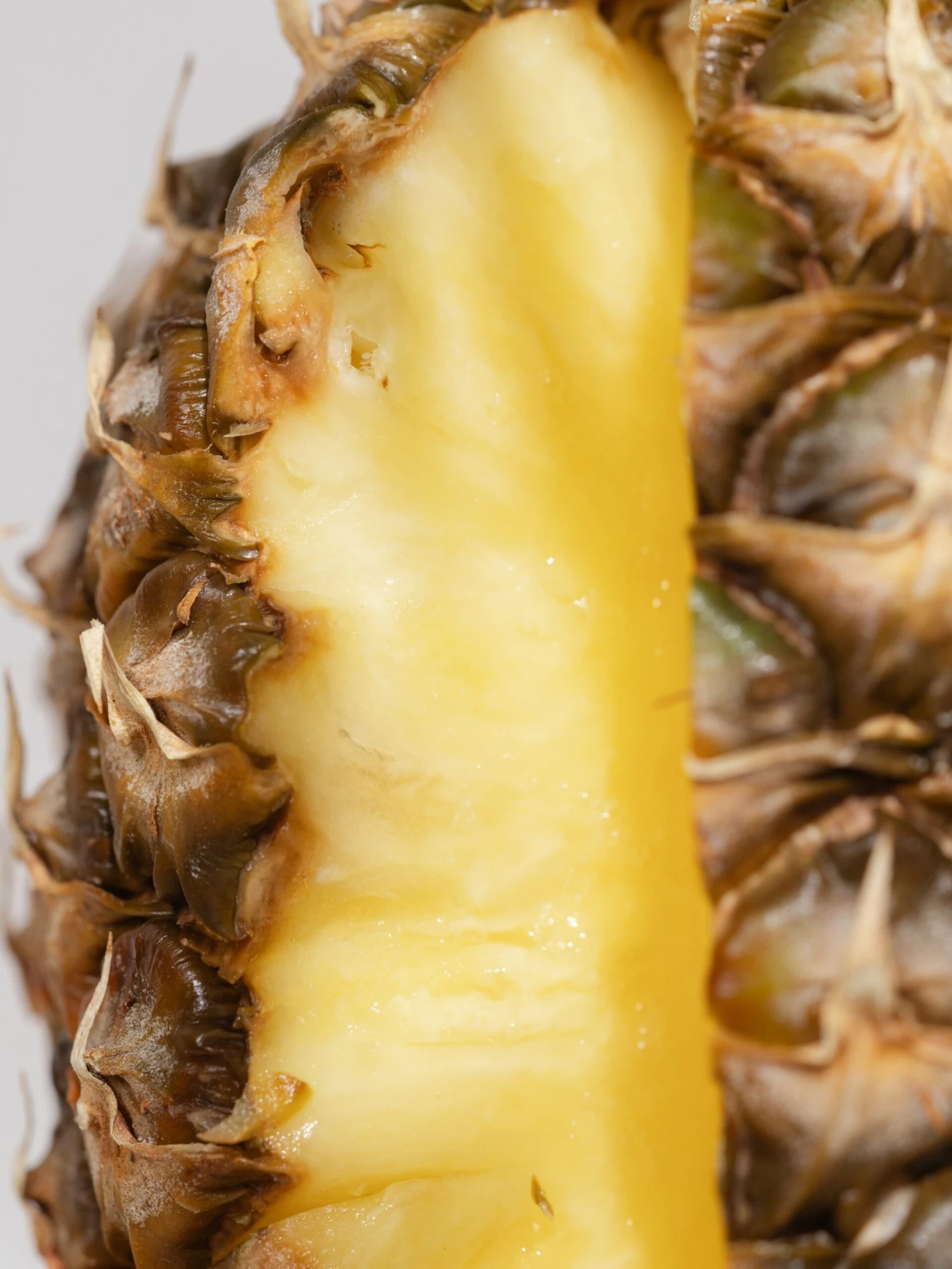 Hawaii 2 Hawaii - Image 2